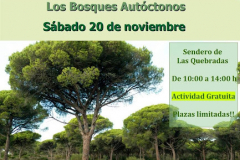 dia-mundial-de-los-bosques-autoctonos-20-nov-2021-parque-natural-la-brena-barbate