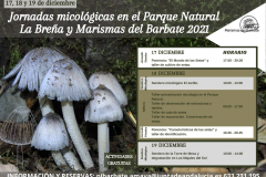 jornadas-micologicas-barbate-17-al-19-dic-2021