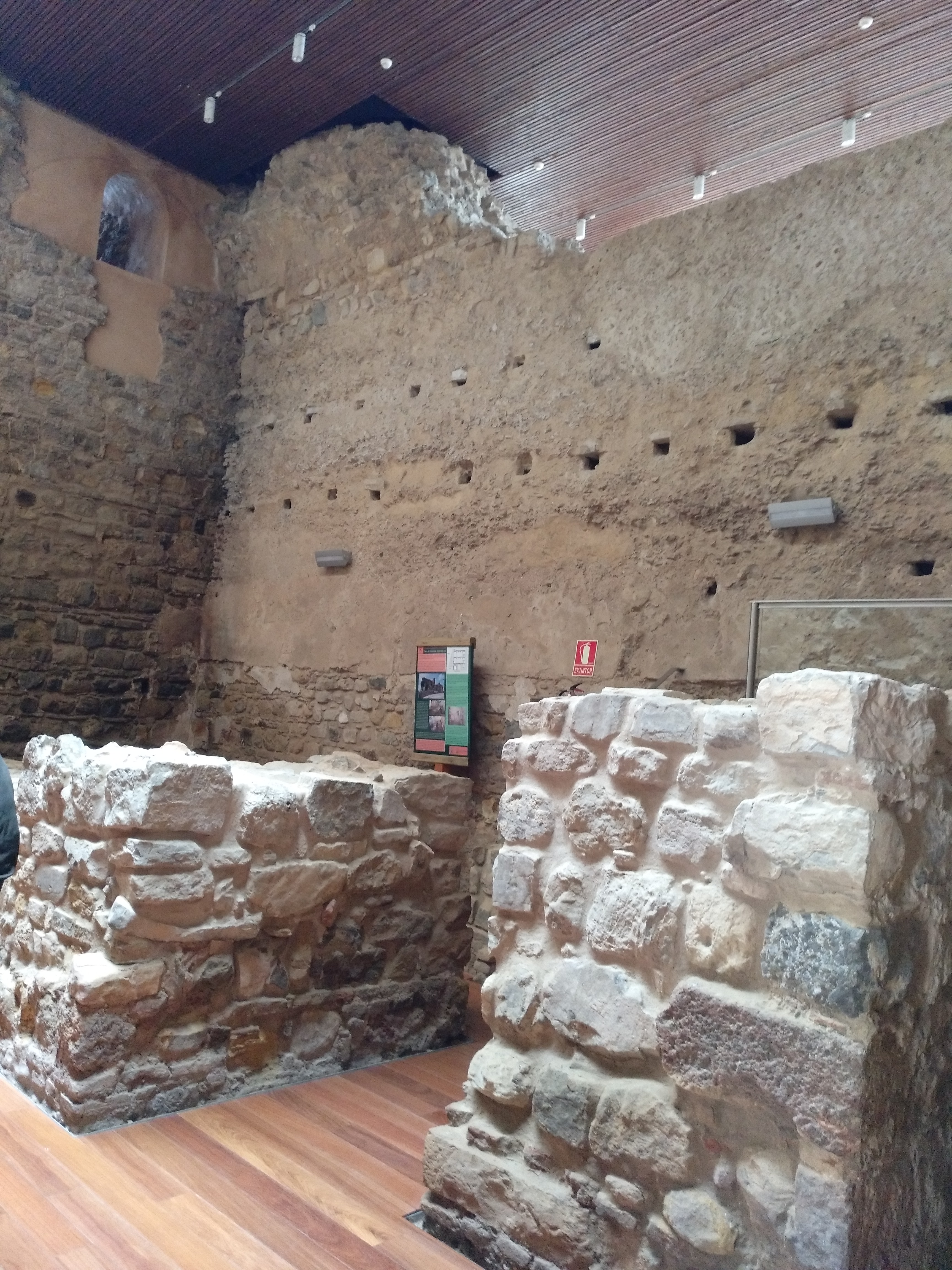 Castillo (Alcalá de los Gazules)