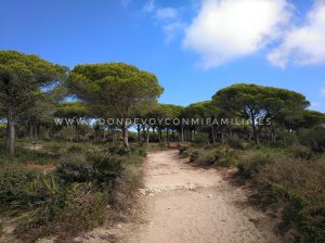 SENDERO TORRE DEL TAJO | Parque Natural de Las Breñas y Marismas de Barbate