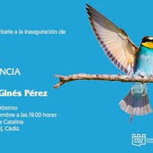 DOS EXPOSICIONES: "ENTRE DOS LUCES" Y "AVES DE LA PROVINCIA DE CÁDIZ" Familia con Niños (CÁDIZ) Desde el 13 de Noviembre de 2019 al 10 de Enero de 2020_Castillo de Santa Catalina