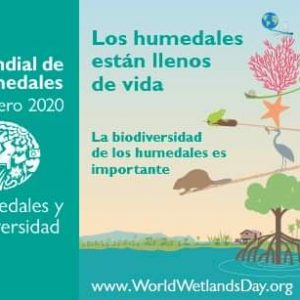 DÍA DE LOS HUMEDALES, Domingo 02 de Febrero de 2020