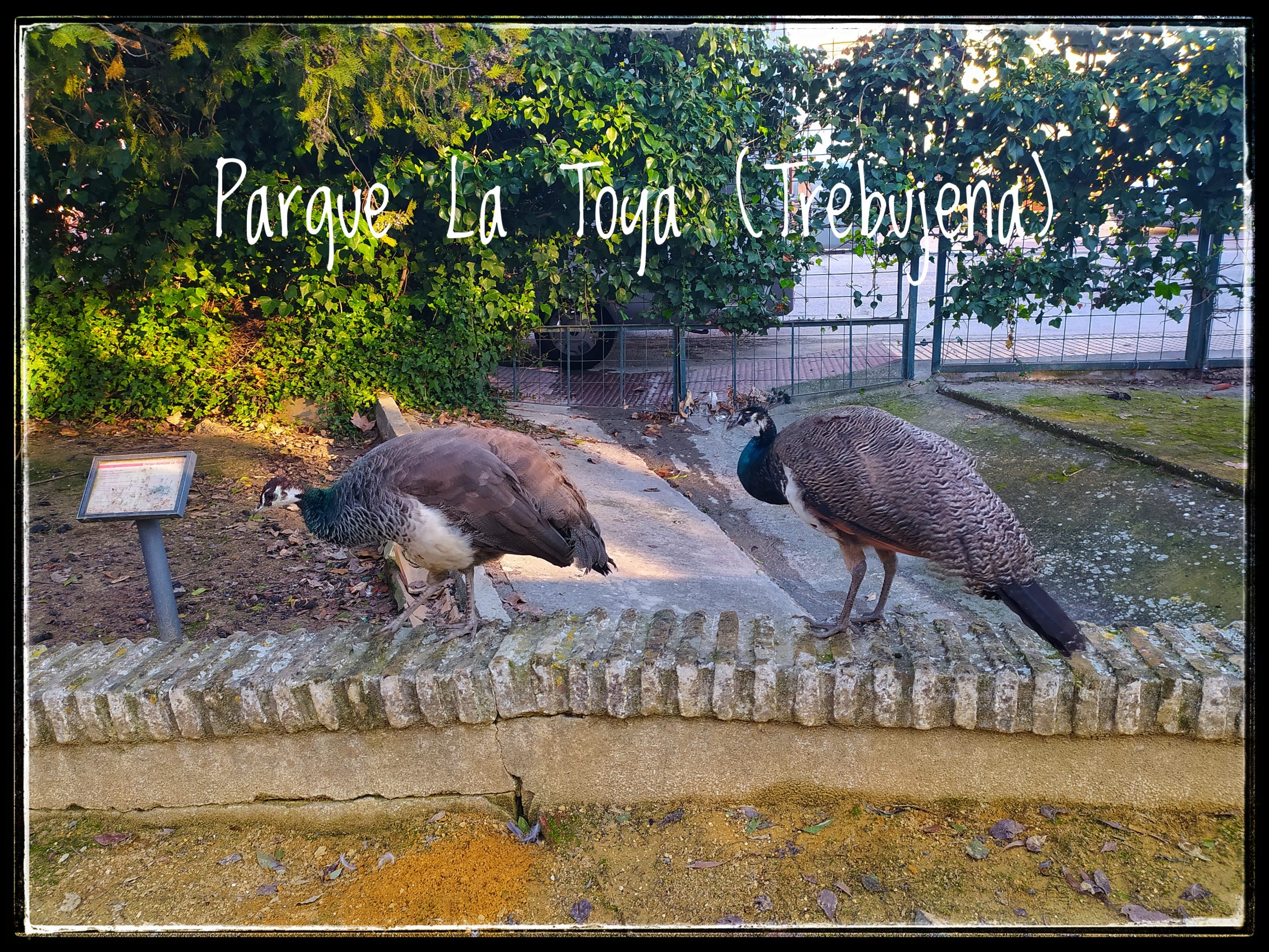 PARQUE LA TOYA (Trebujena)