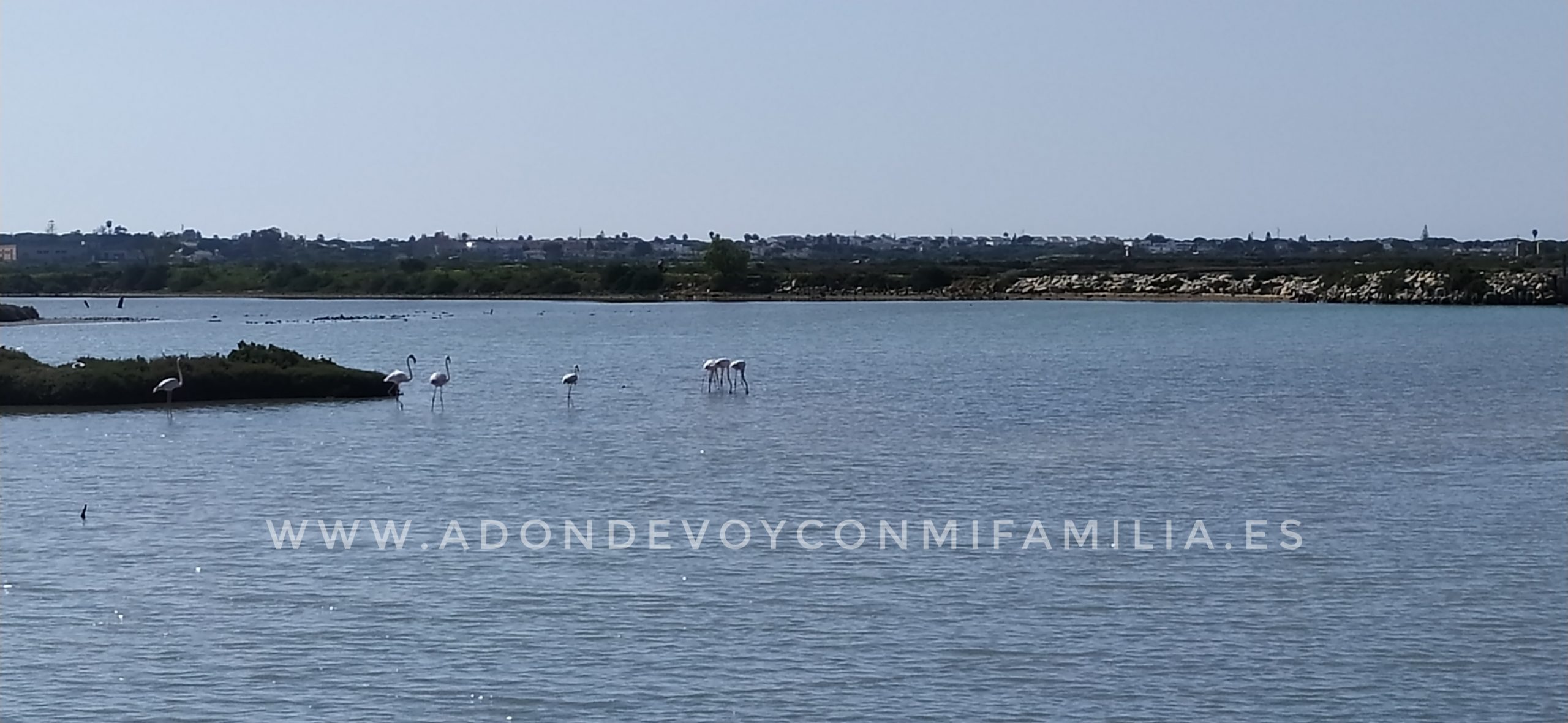 SENDERO SALINA DE CARBONEROS| Parque Natural Bahía de Cádiz