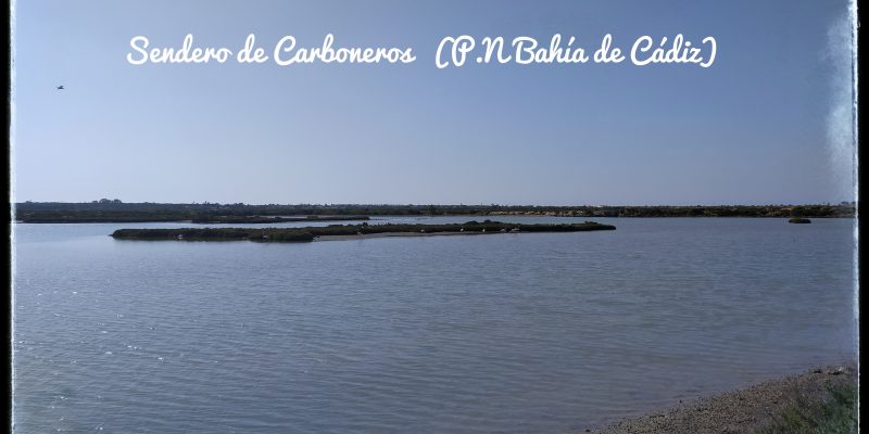 SENDERO SALINA DE CARBONEROS| Parque Natural Bahía de Cádiz