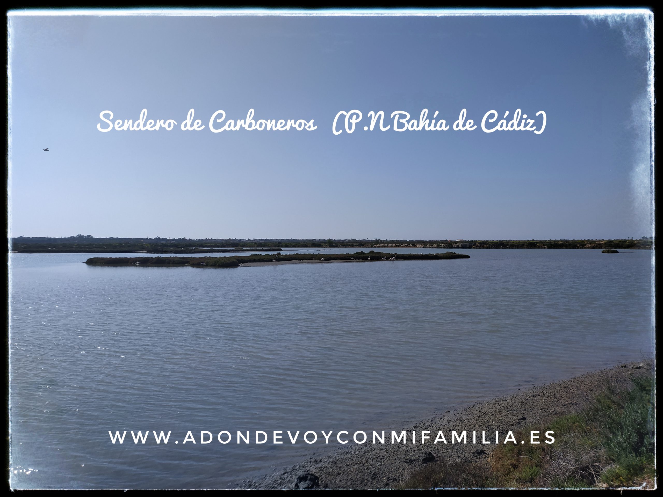 SENDERO SALINA DE CARBONEROS| Parque Natural Bahía de Cádiz