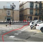 alameda carril bici adondevoyconmifamilia