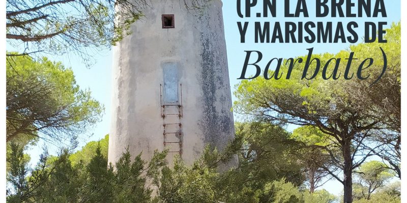 SENDERO TORRE DE MECA| Parque Natural Las Breñas y Marismas de Barbate