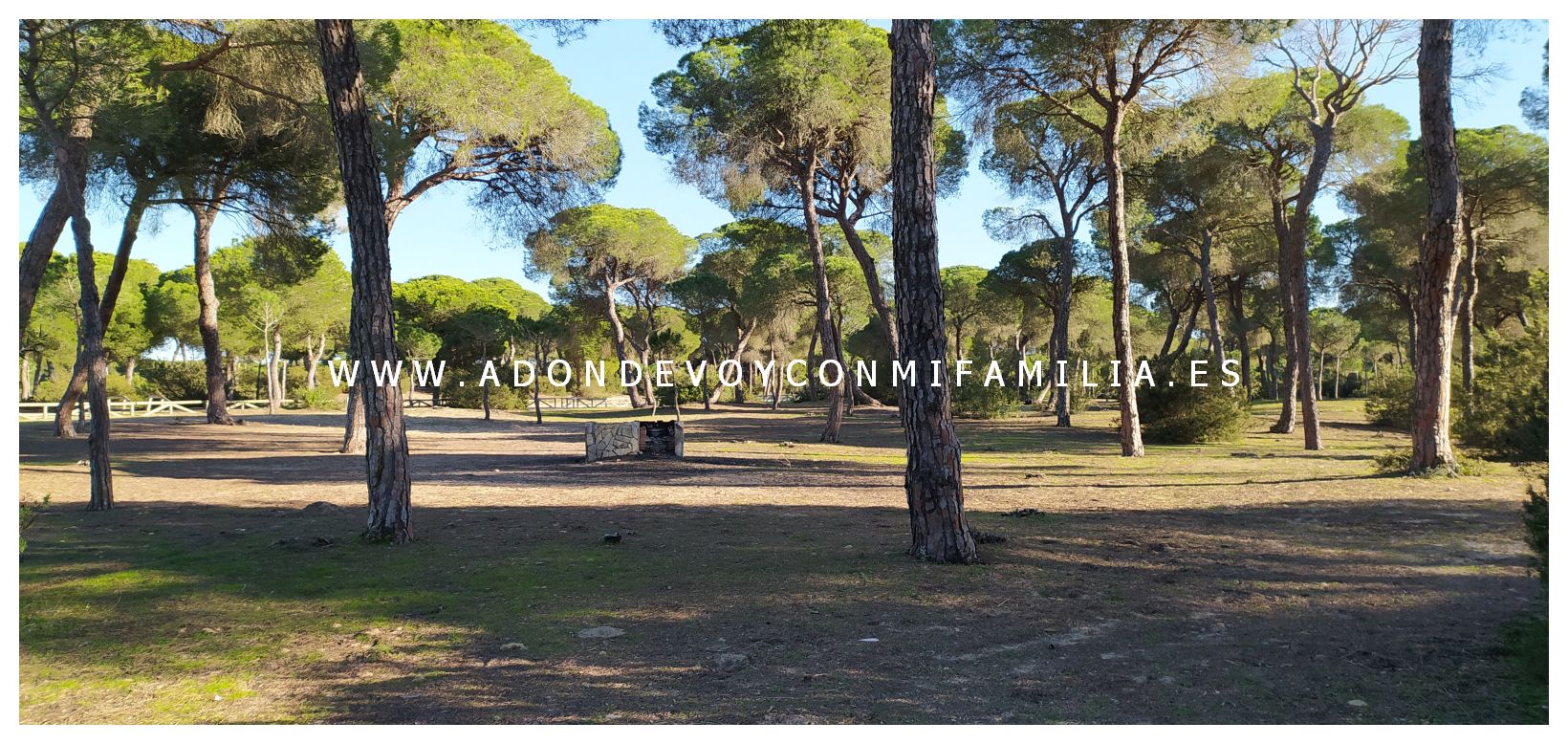 area recreativa pinar de la algaida adondevoyconmifamilia 01