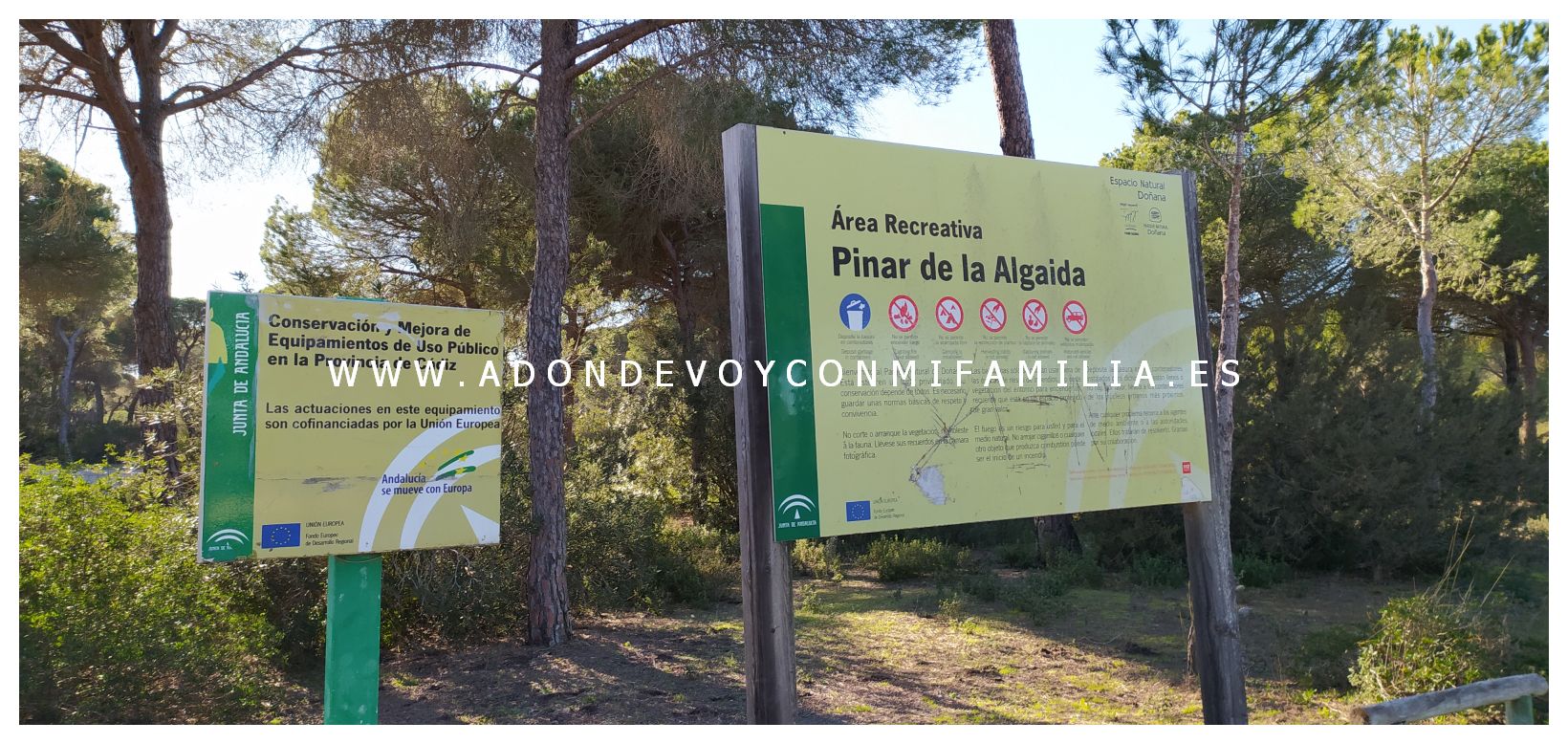 area recreativa pinar de la algaida adondevoyconmifamilia 03