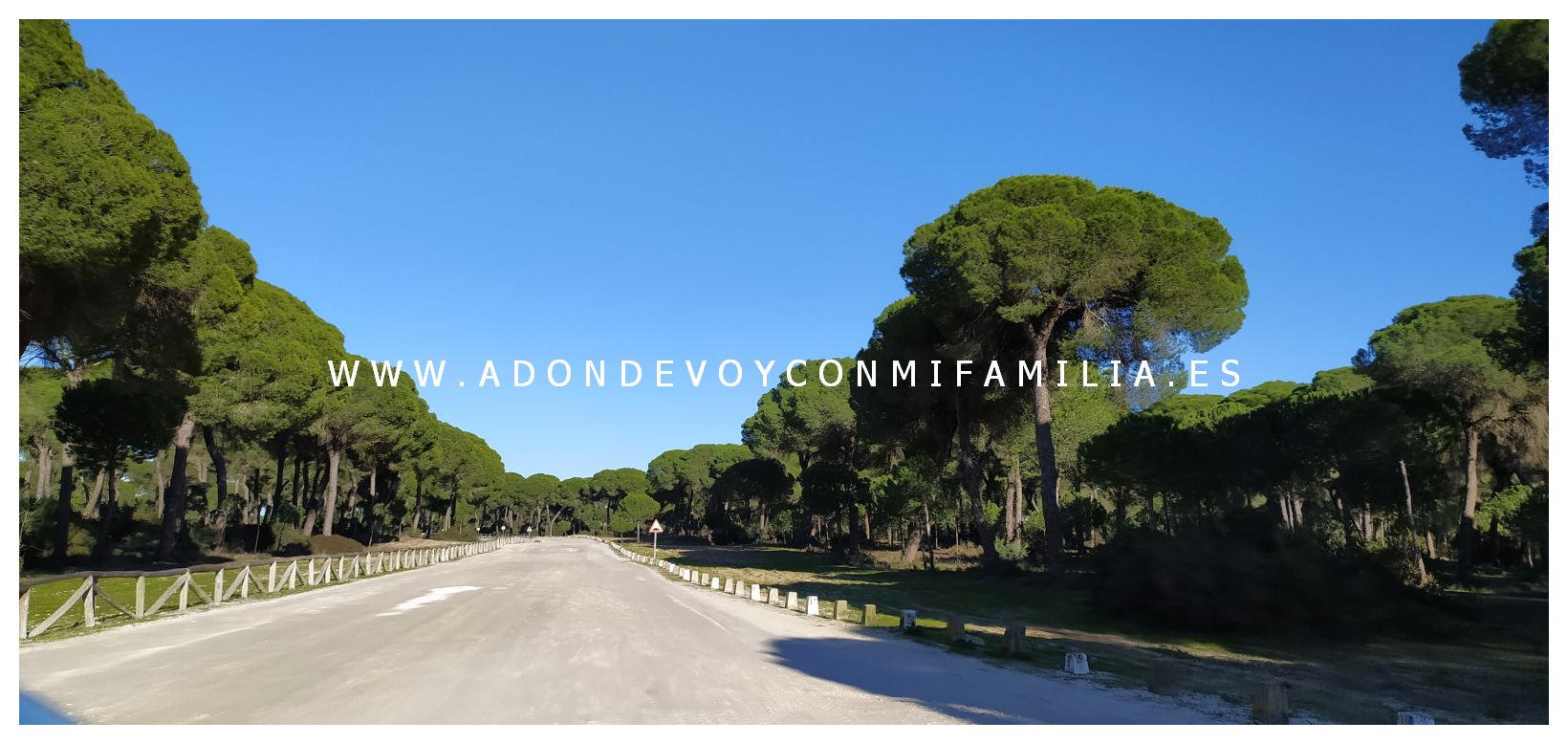 area recreativa pinar de la algaida adondevoyconmifamilia 04