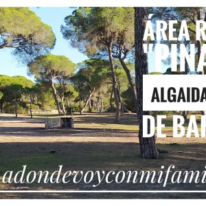 area recreativa pinar de la algaida adondevoyconmifamilia portada