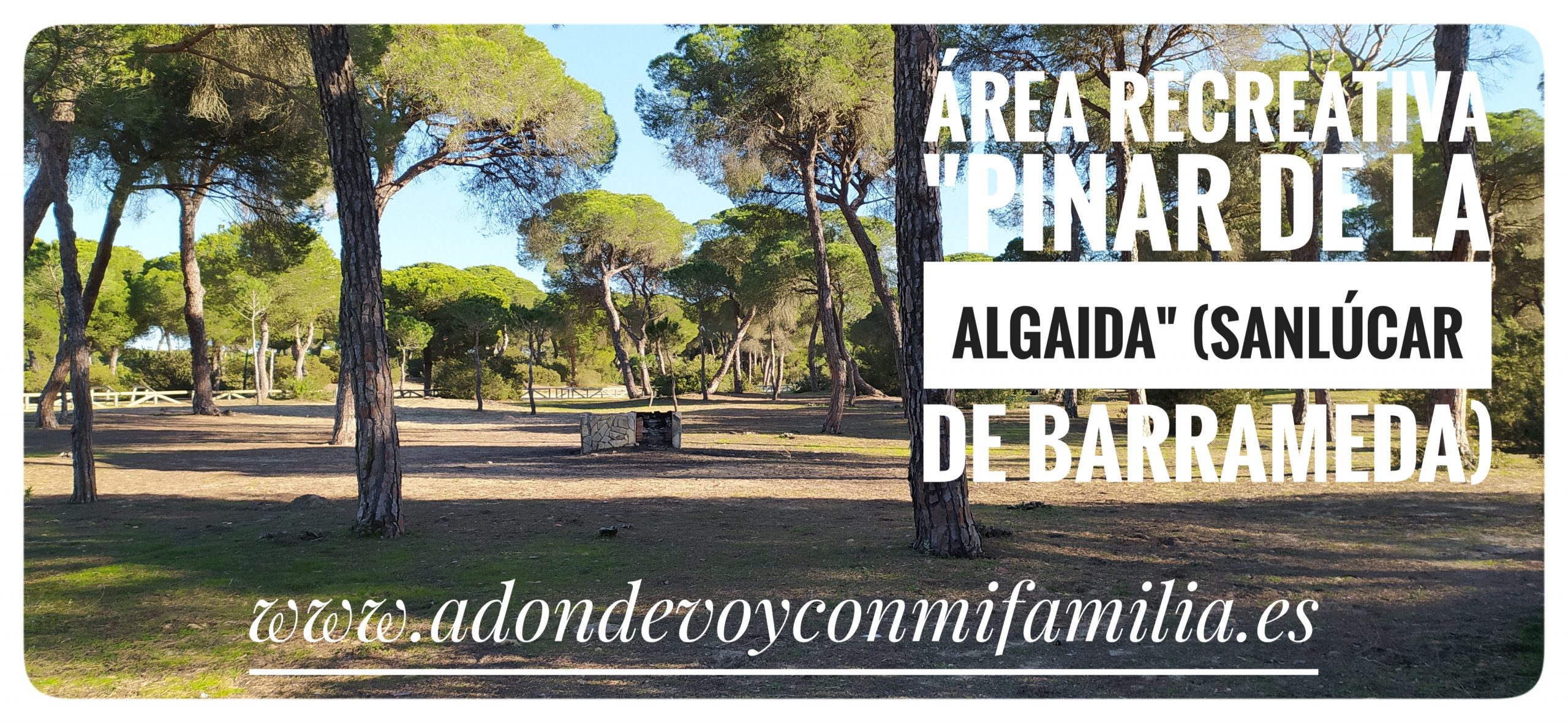 area recreativa pinar de la algaida adondevoyconmifamilia portada