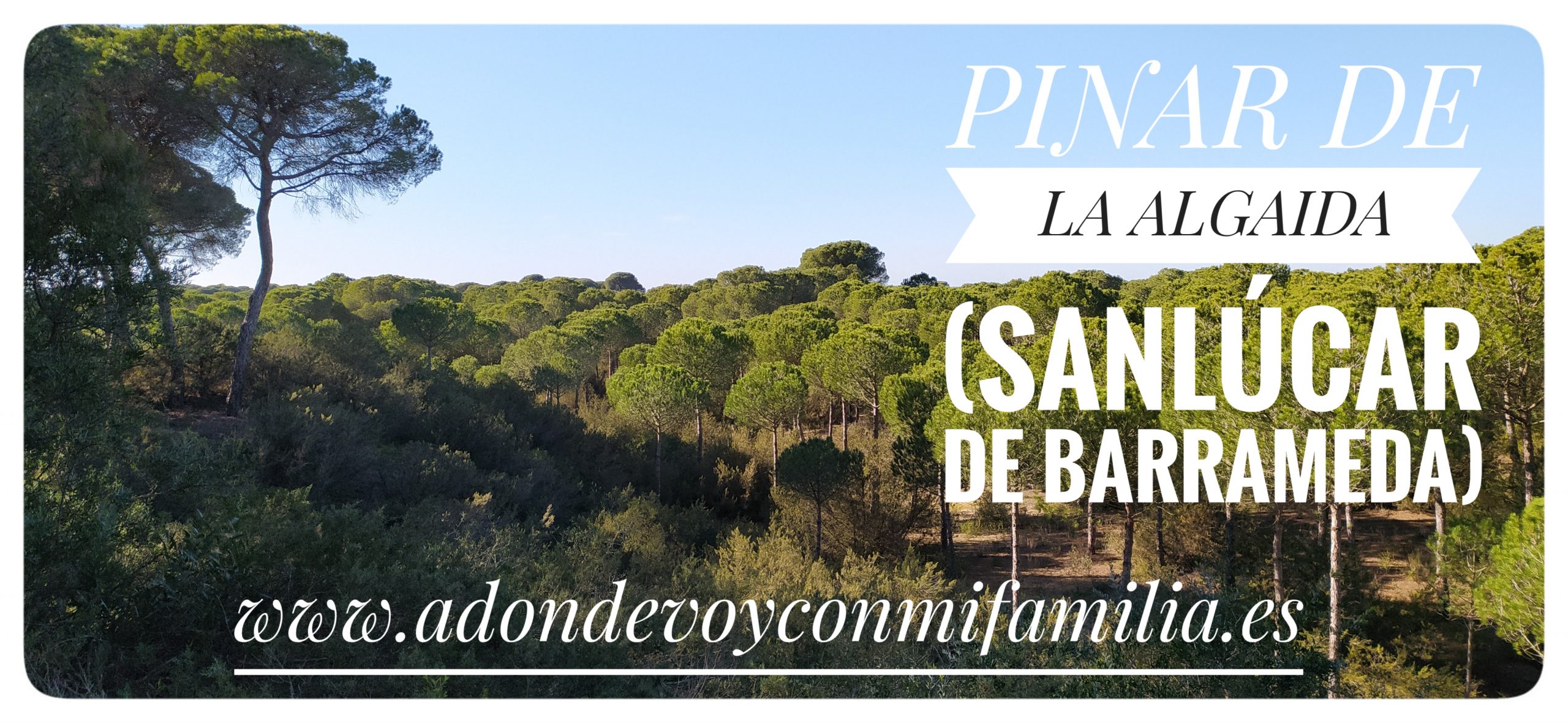 pinar de la algaida sanlucar de barrameda portada adondevoyconmifamilia