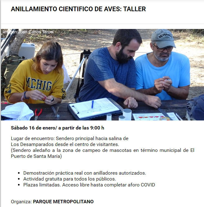 taller anillamiento aves toruños 16 enero 2021
