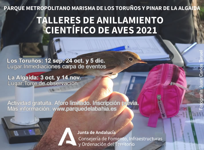 los toruños anillamiento octubre diciembre 2021