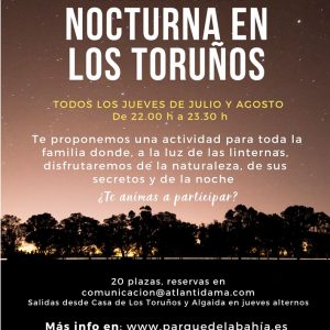 aventura nocturna los toruños actualizado