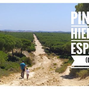 sendero pinar de hierro adondevoyconmifamilia portada