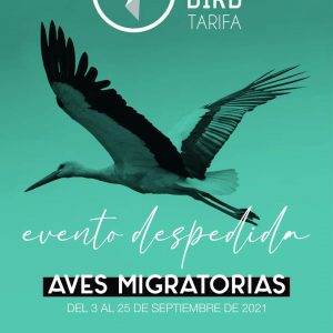 migbird aves migratorias despedida tarifa 2021