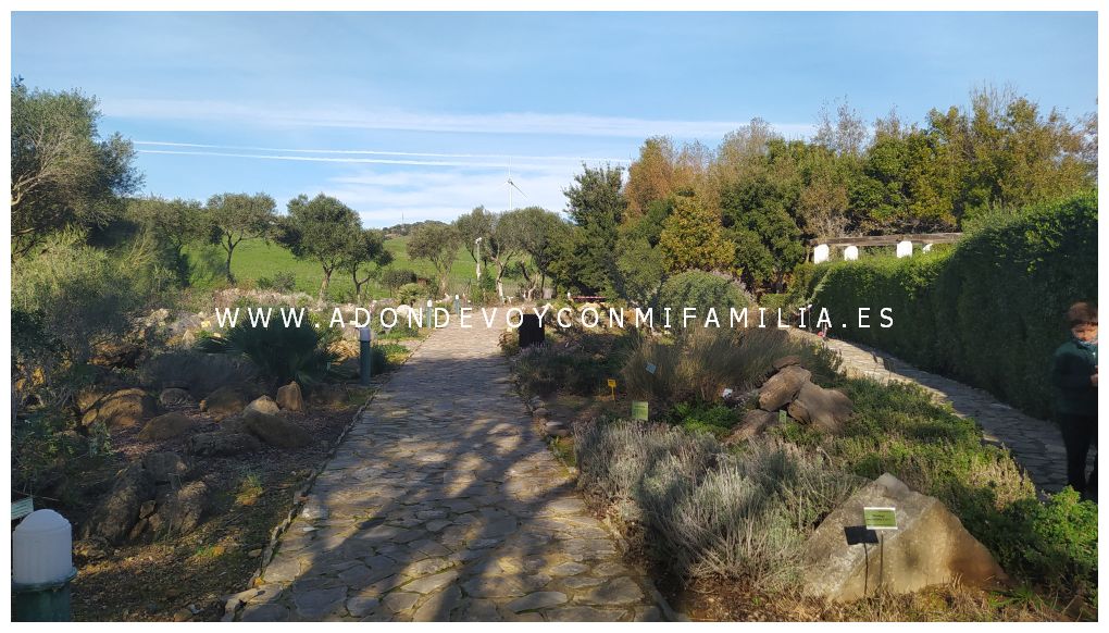 jardín botánico el aljibe alcala de los gazules adondevoyconmifamilia 01