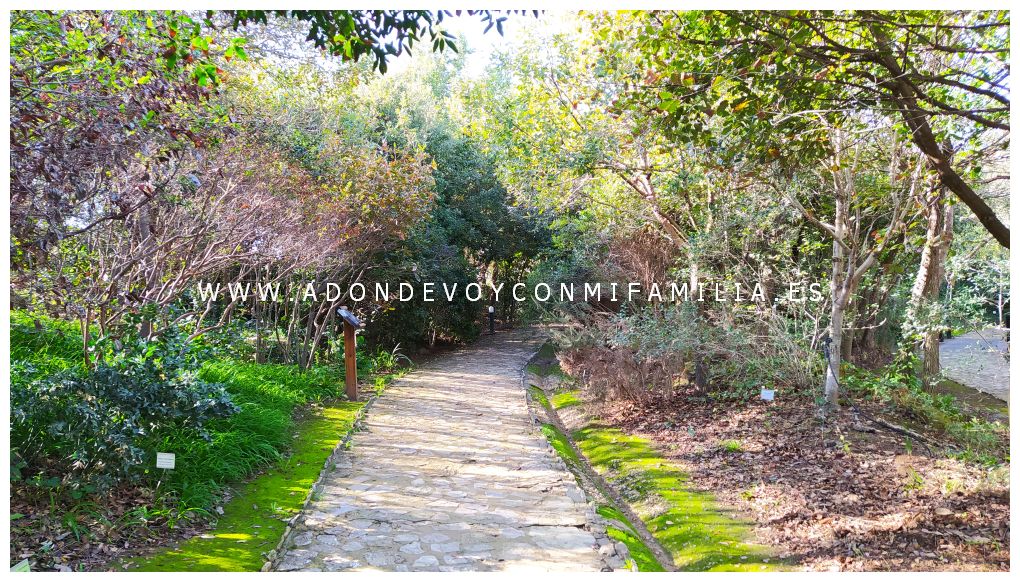 jardín botánico el aljibe alcala de los gazules adondevoyconmifamilia 02