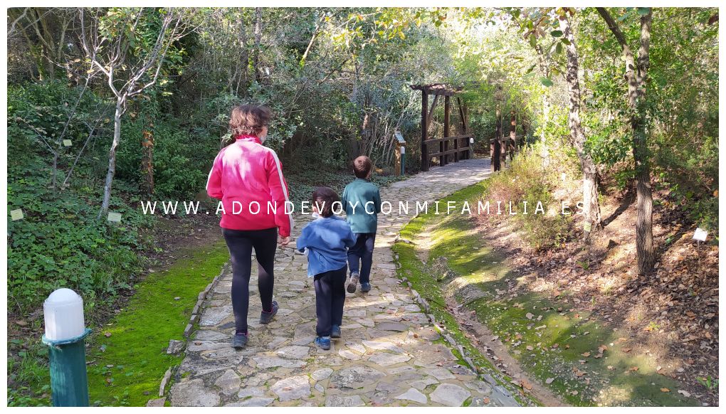 jardín botánico el aljibe alcala de los gazules adondevoyconmifamilia 03