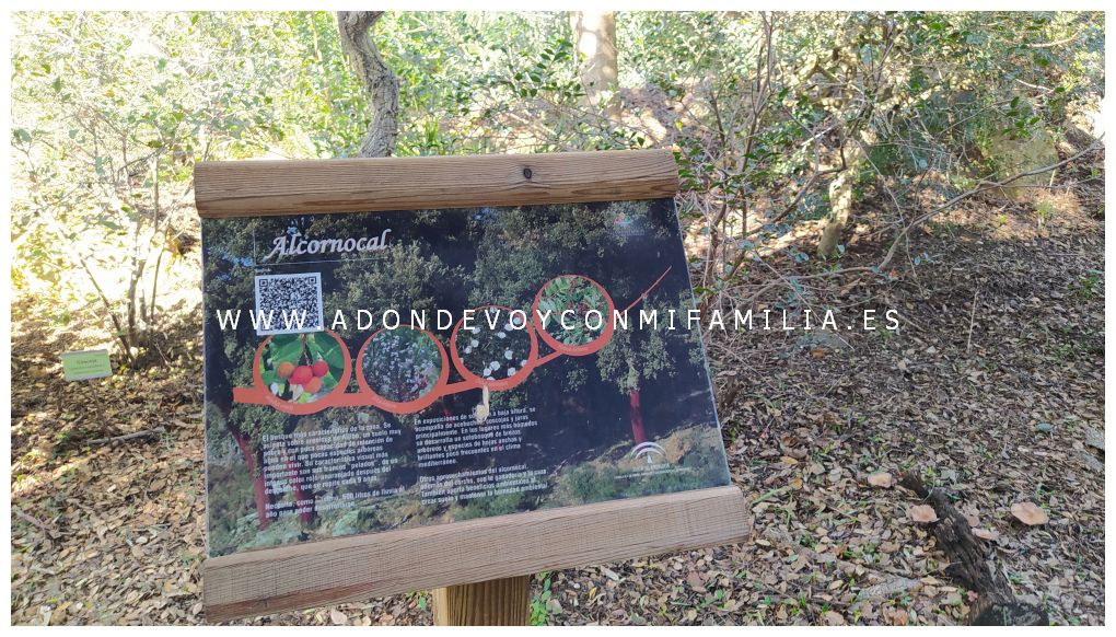 jardín botánico el aljibe alcala de los gazules adondevoyconmifamilia 04