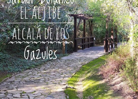 jardín botánico el aljibe alcala de los gazules adondevoyconmifamilia portada