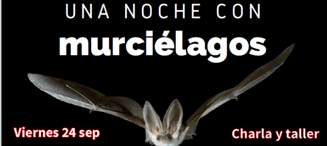 murcielagos los toruños septiembre 2021