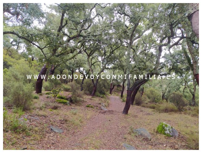 sendero garganta de la pulga adondevoyconmifamilia 10