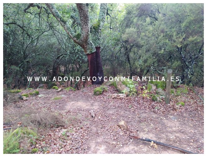 sendero garganta de la pulga adondevoyconmifamilia 12