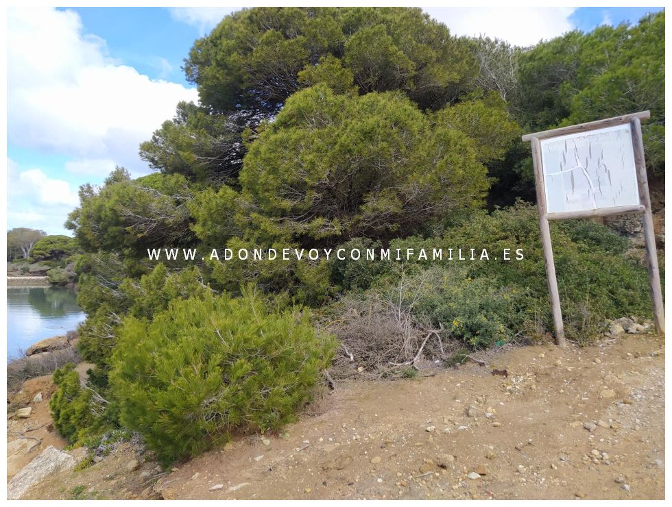 senderio rio roche y calas de roche adondevoyconmifamilia 10