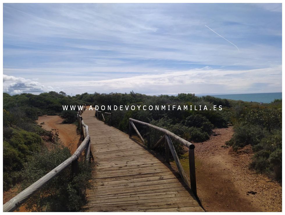 senderio rio roche y calas de roche adondevoyconmifamilia 31