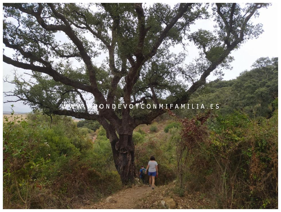 sendero garganta del capitan adondevoyconmifamilia 31