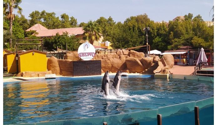 selwo marina 2023 adondevoyconmifamilia portadfa