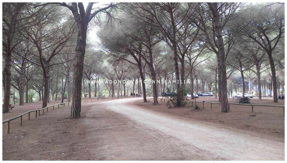 area recreativa pinarl del rey adondevoyconmifamilia 05
