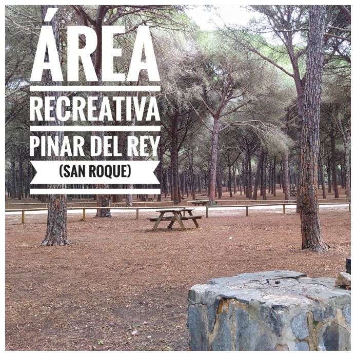 sendero area recreativa pinar del rey adondevoyconmifamilia portada