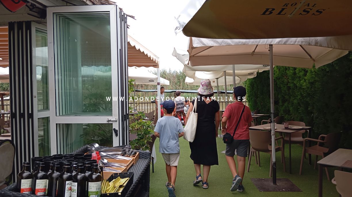 camping devesa garden verano 2025 adondevoyconmifamilia arroceria el rek18