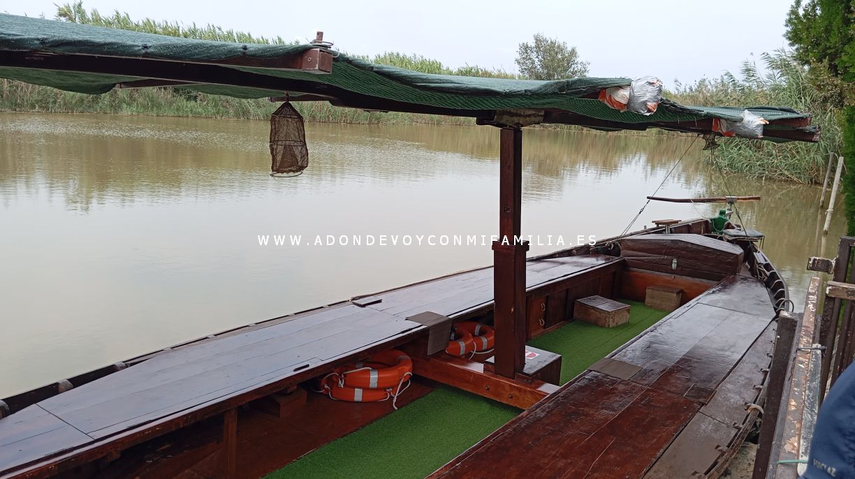 camping devesa garden verano 2025 adondevoyconmifamilia arroceria el rek20