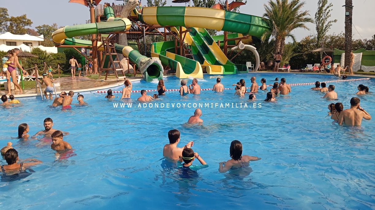 camping devesa garden verano 2025 adondevoyconmifamilia piscina 45