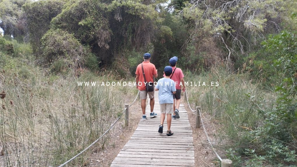 centro Racó L'olla verano 2025 adondevoyconmifamilia 06