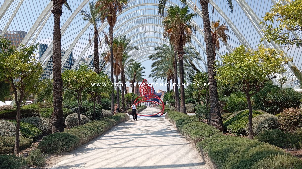ciudad artes y ciencias verano 2025 adondevoyconmifamilia 04