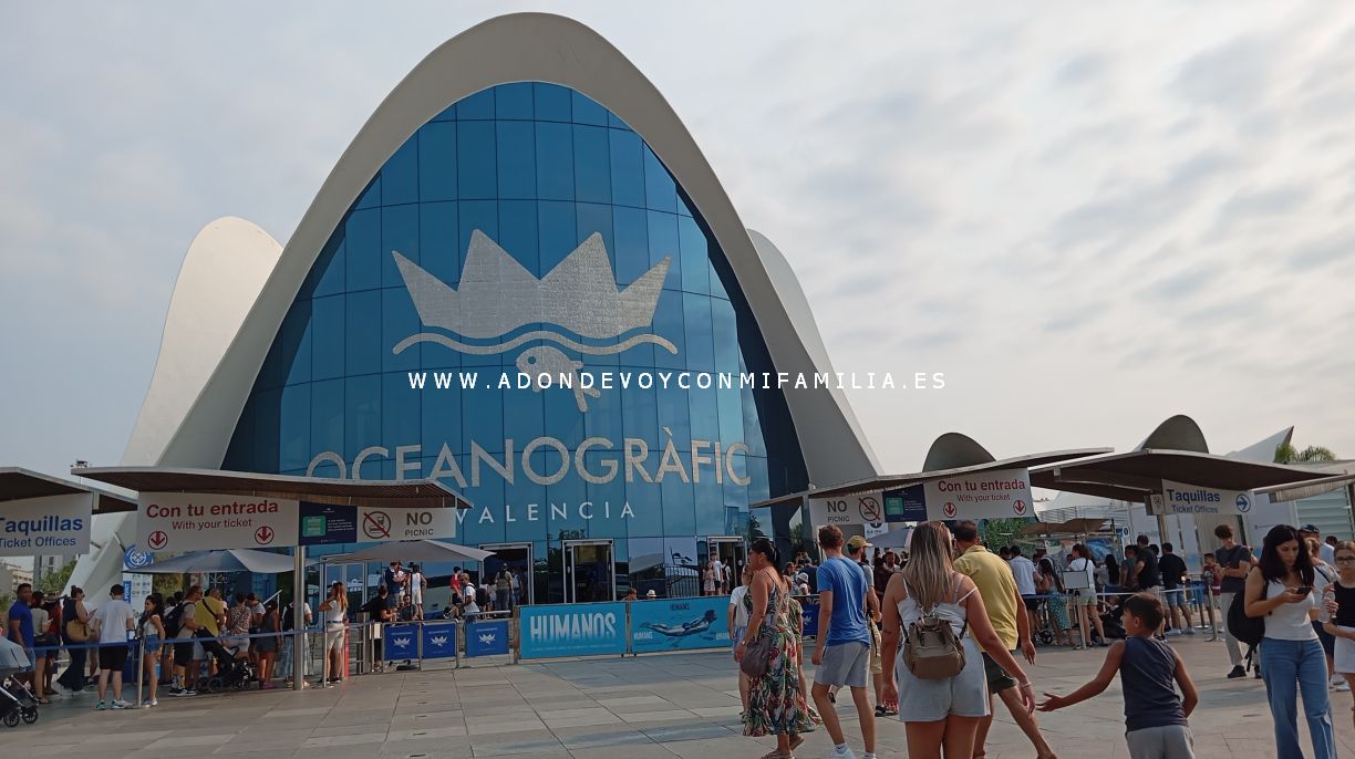 oceanografic verano 2025 adondevoyconmifamilia 01