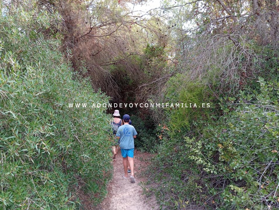 sendero playa devesa verano 2025 adondevoyconmifamilia 04