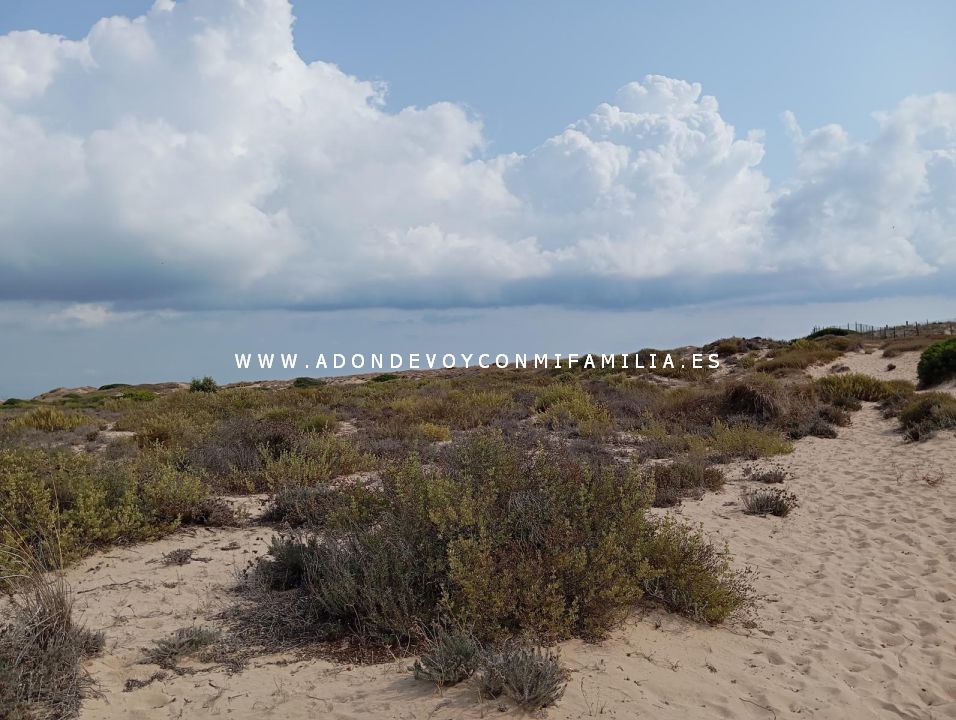sendero playa devesa verano 2025 adondevoyconmifamilia 11
