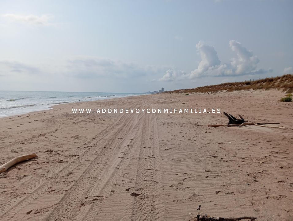 sendero playa devesa verano 2025 adondevoyconmifamilia 15