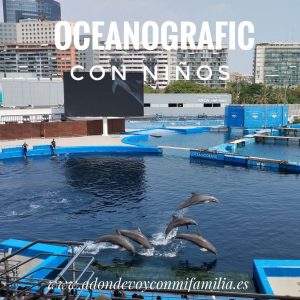 oceanografic verano 2025 adondevoyconmifamilia portada