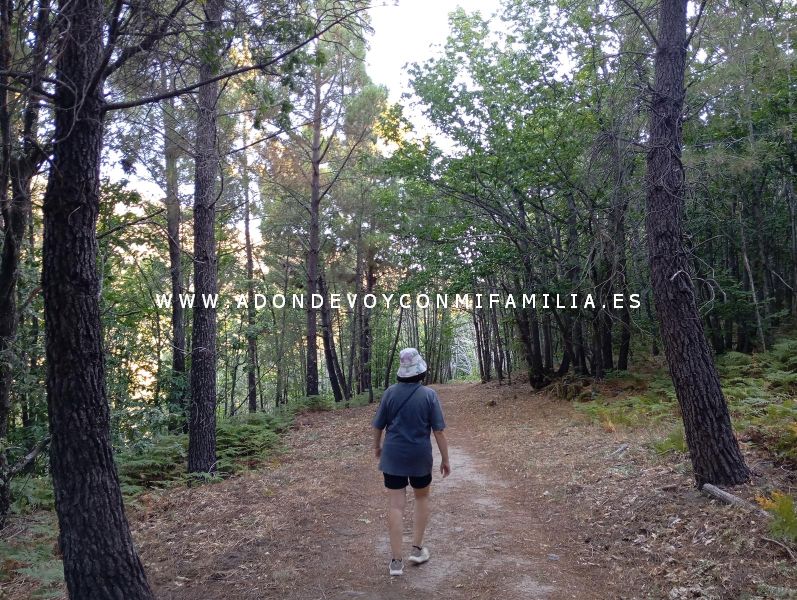 sendero castañar ojestos san martín trevejo adondevoyconmifamilia 19