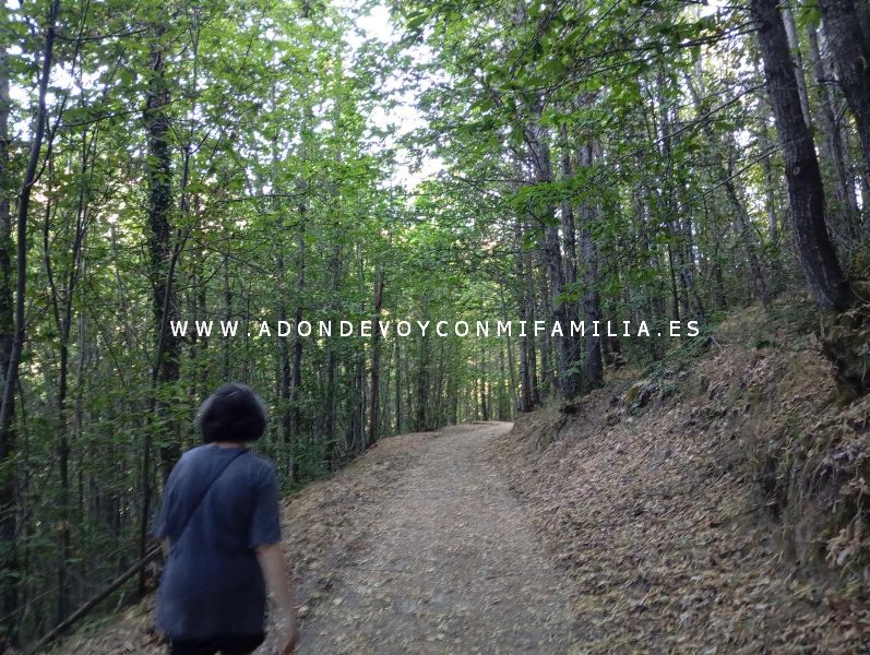 sendero castañar ojestos san martín trevejo adondevoyconmifamilia 21