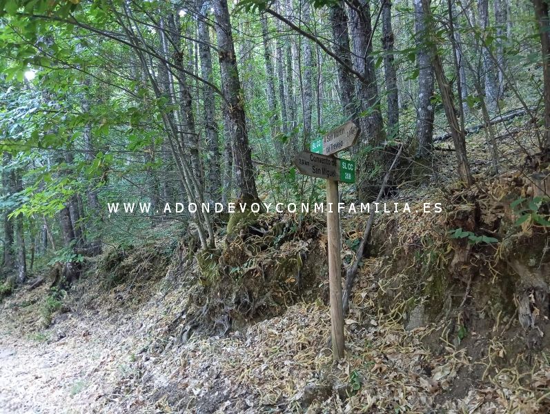sendero castañar ojestos san martín trevejo adondevoyconmifamilia 24